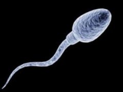 [少精子症]中医治疗少精子症的方法